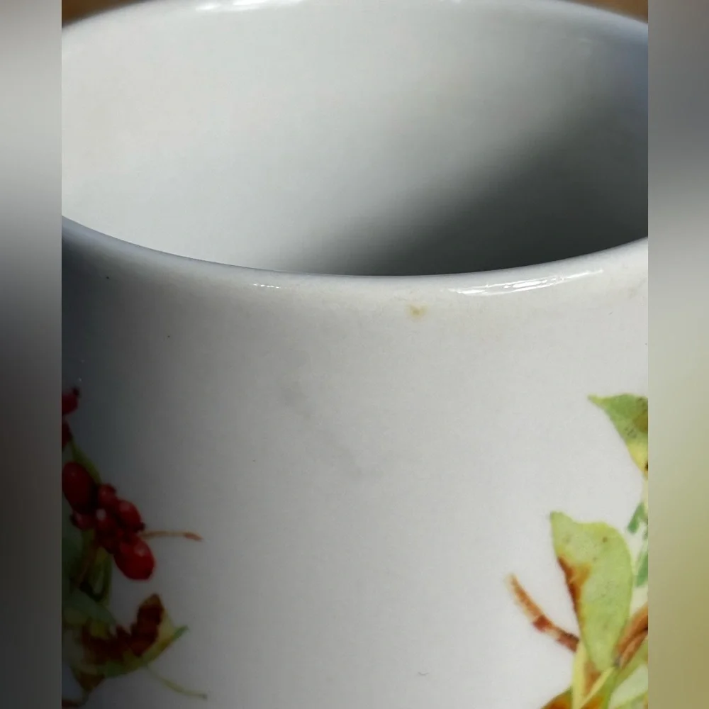 Marjolein Bastin Hallmark Sketchbook Chickadee Bird Coffee Mug 2004 Thailand